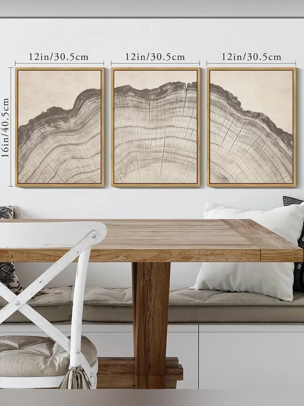 Rustic Nature Illustrations Tree Rings Wall Decor